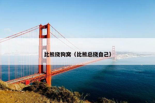 比熊挠狗窝（比熊总挠自己）