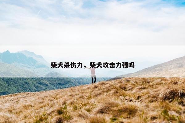 柴犬杀伤力，柴犬攻击力强吗