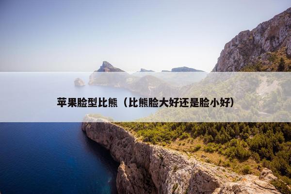 苹果脸型比熊（比熊脸大好还是脸小好）