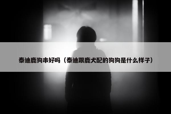 泰迪鹿狗串好吗（泰迪跟鹿犬配的狗狗是什么样子）