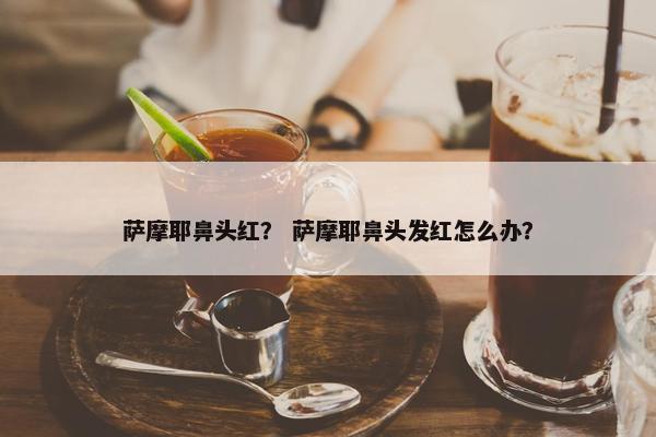 萨摩耶鼻头红？ 萨摩耶鼻头发红怎么办？