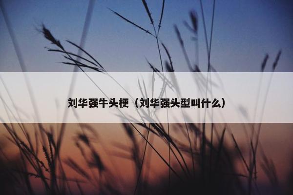 刘华强牛头梗（刘华强头型叫什么）