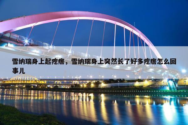 雪纳瑞身上起疙瘩，雪纳瑞身上突然长了好多疙瘩怎么回事儿