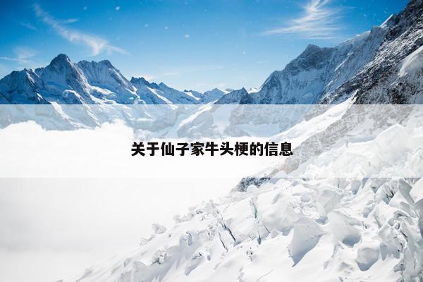 关于仙子家牛头梗的信息