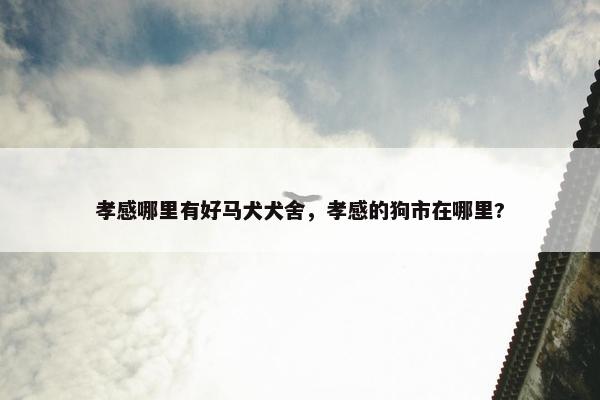 孝感哪里有好马犬犬舍，孝感的狗市在哪里?