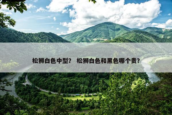 松狮白色中型？ 松狮白色和黑色哪个贵？