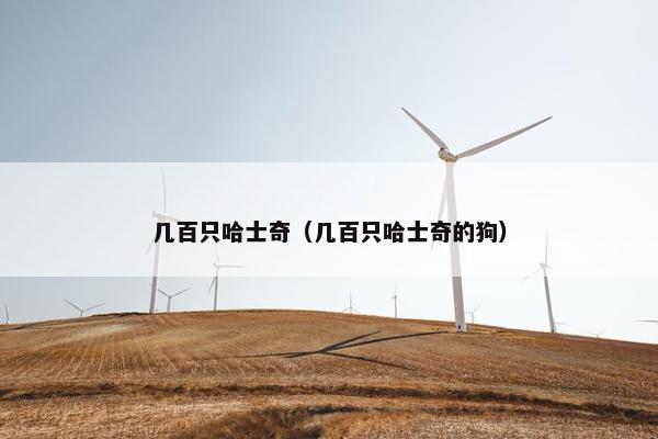 几百只哈士奇（几百只哈士奇的狗）