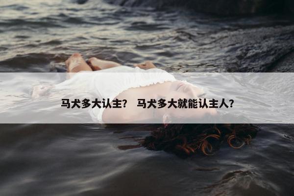 马犬多大认主？ 马犬多大就能认主人？