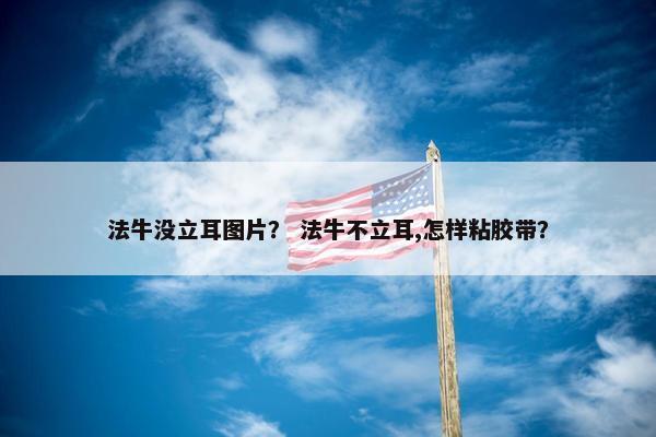 法牛没立耳图片？ 法牛不立耳,怎样粘胶带？