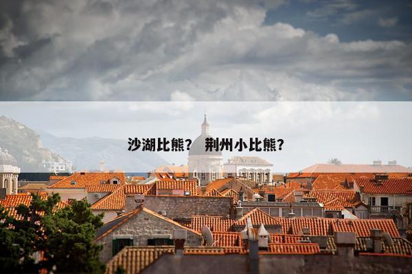 沙湖比熊？ 荆州小比熊？