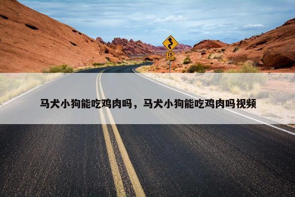 马犬小狗能吃鸡肉吗，马犬小狗能吃鸡肉吗视频