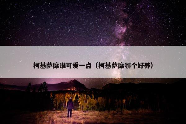 柯基萨摩谁可爱一点（柯基萨摩哪个好养）