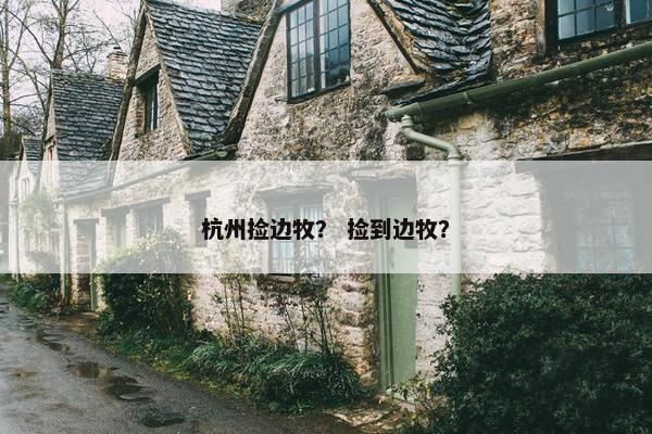 杭州捡边牧？ 捡到边牧？