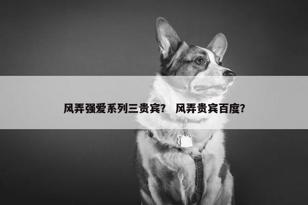 风弄强爱系列三贵宾？ 风弄贵宾百度？