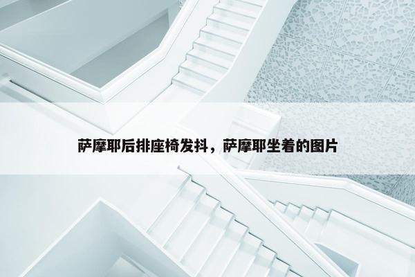 萨摩耶后排座椅发抖，萨摩耶坐着的图片