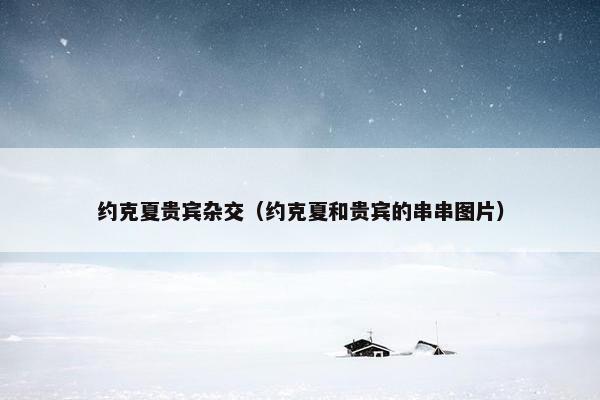 约克夏贵宾杂交（约克夏和贵宾的串串图片）