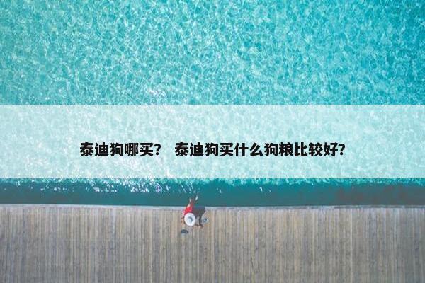 泰迪狗哪买？ 泰迪狗买什么狗粮比较好？