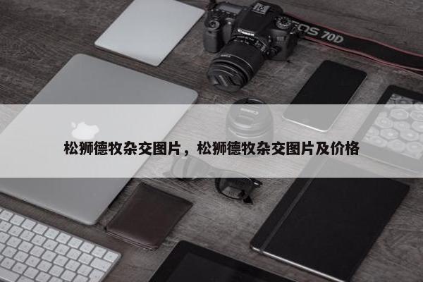 松狮德牧杂交图片，松狮德牧杂交图片及价格