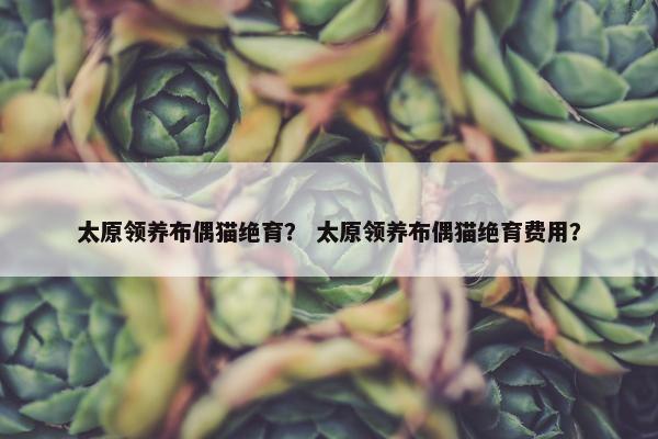 太原领养布偶猫绝育？ 太原领养布偶猫绝育费用？