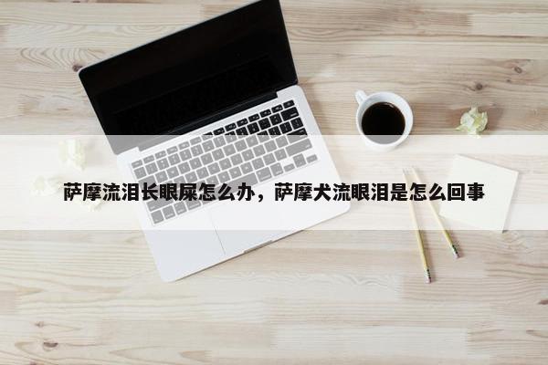 萨摩流泪长眼屎怎么办，萨摩犬流眼泪是怎么回事