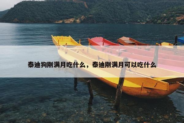 泰迪狗刚满月吃什么，泰迪刚满月可以吃什么