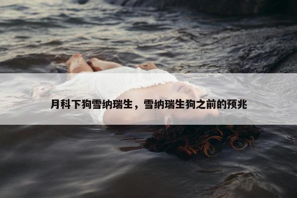 月科下狗雪纳瑞生，雪纳瑞生狗之前的预兆