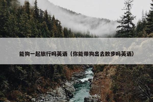 能狗一起旅行吗英语（你能带狗出去散步吗英语）