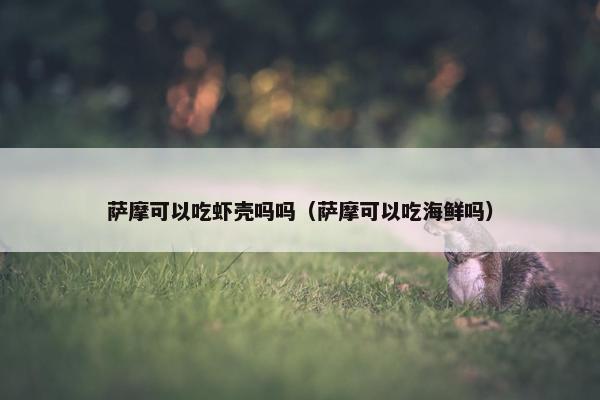萨摩可以吃虾壳吗吗（萨摩可以吃海鲜吗）