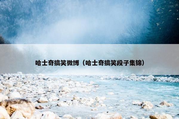 哈士奇搞笑微博（哈士奇搞笑段子集锦）