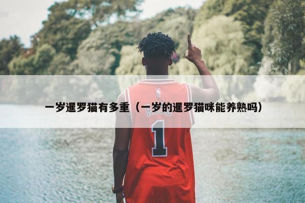 一岁暹罗猫有多重（一岁的暹罗猫咪能养熟吗）