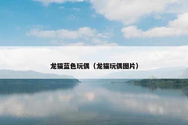 龙猫蓝色玩偶（龙猫玩偶图片）