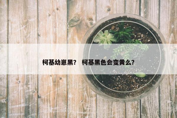 柯基幼崽黑？ 柯基黑色会变黄么？