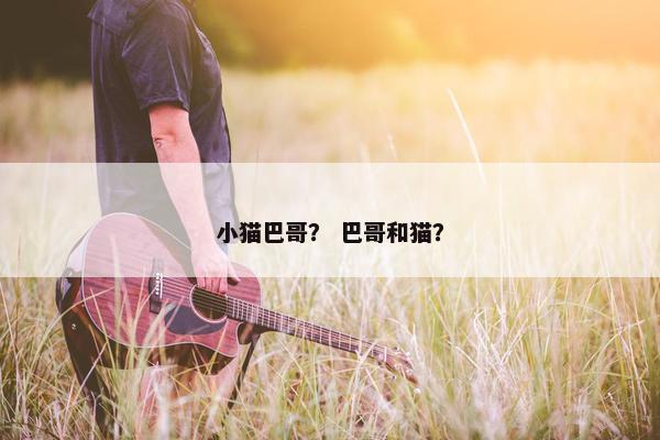 小猫巴哥？ 巴哥和猫？
