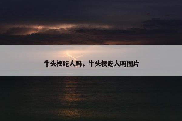 牛头梗吃人吗，牛头梗吃人吗图片