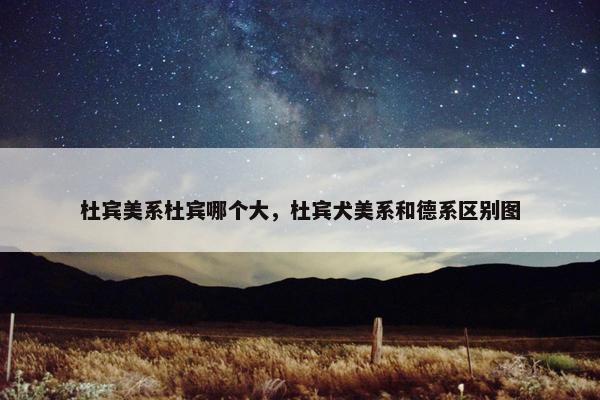 杜宾美系杜宾哪个大，杜宾犬美系和德系区别图