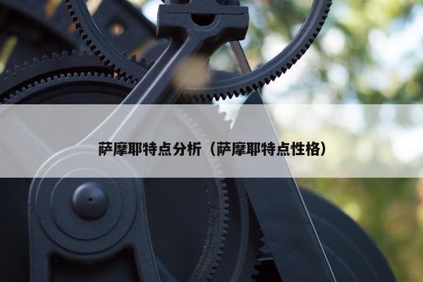 萨摩耶特点分析（萨摩耶特点性格）