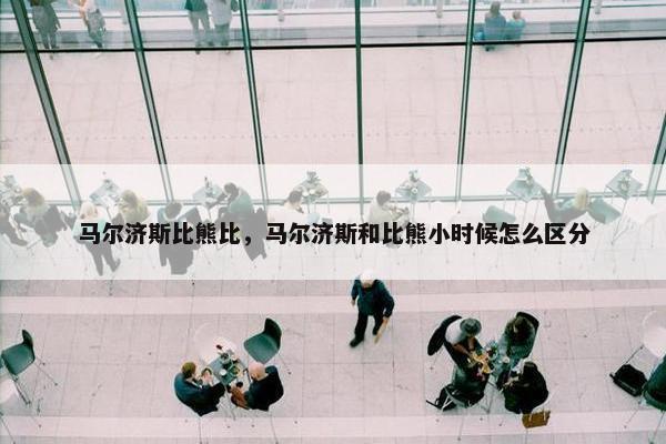 马尔济斯比熊比，马尔济斯和比熊小时候怎么区分