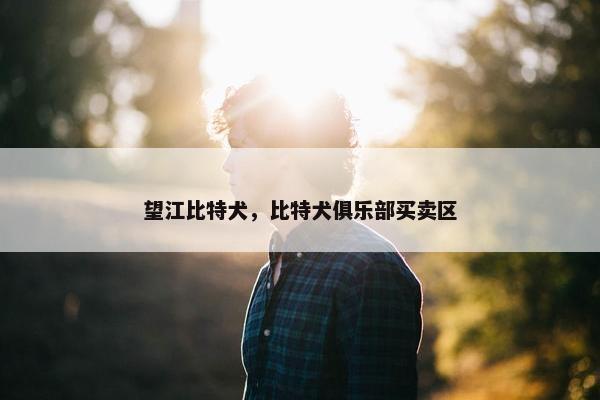 望江比特犬，比特犬俱乐部买卖区