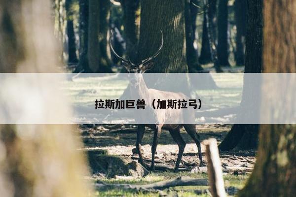 拉斯加巨兽（加斯拉弓）