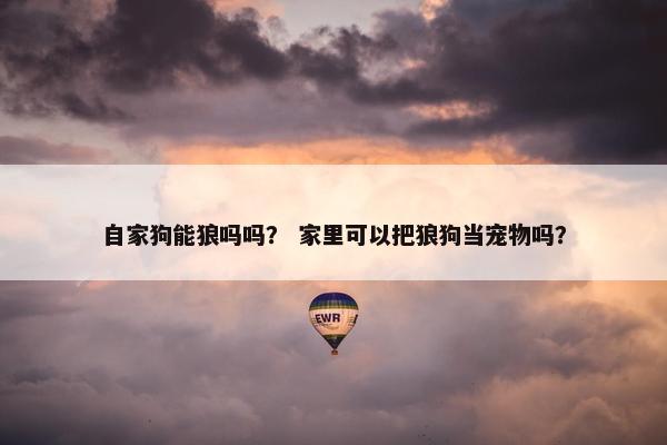 自家狗能狼吗吗？ 家里可以把狼狗当宠物吗？