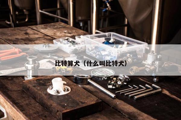 比特算犬（什么叫比特犬）