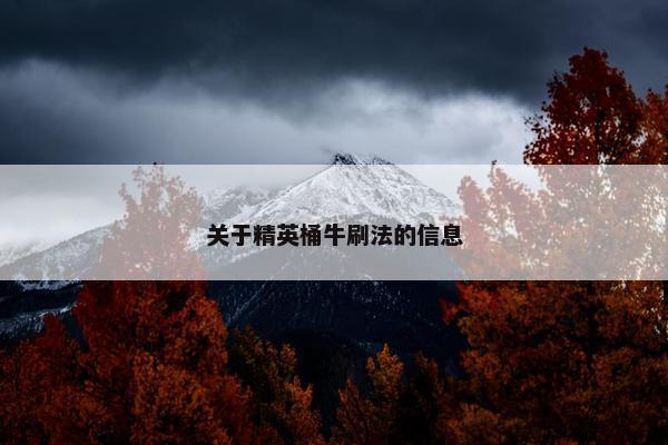 关于精英桶牛刷法的信息