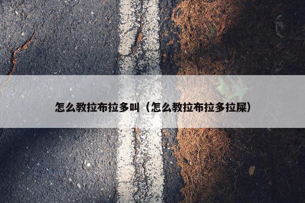 怎么教拉布拉多叫（怎么教拉布拉多拉屎）
