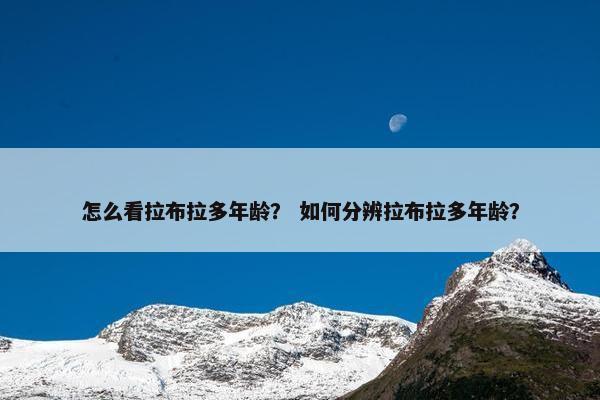 怎么看拉布拉多年龄？ 如何分辨拉布拉多年龄？