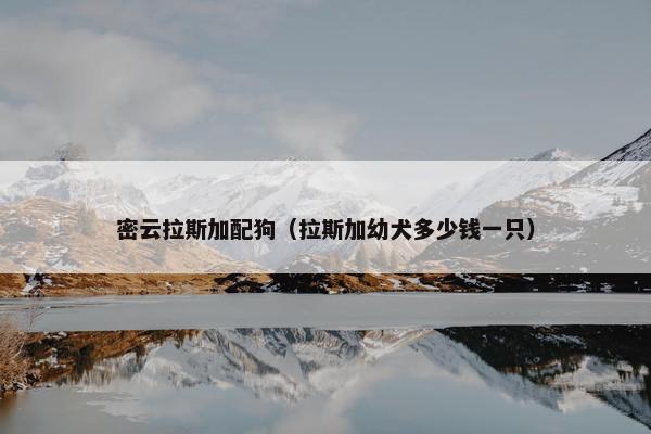 密云拉斯加配狗（拉斯加幼犬多少钱一只）