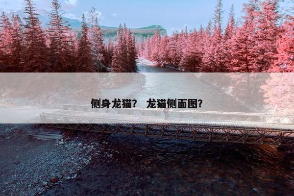 侧身龙猫？ 龙猫侧面图？