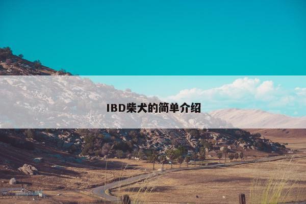 IBD柴犬的简单介绍
