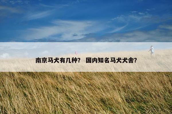 南京马犬有几种？ 国内知名马犬犬舍？