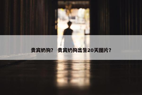 贵宾奶狗？ 贵宾奶狗出生20天图片？
