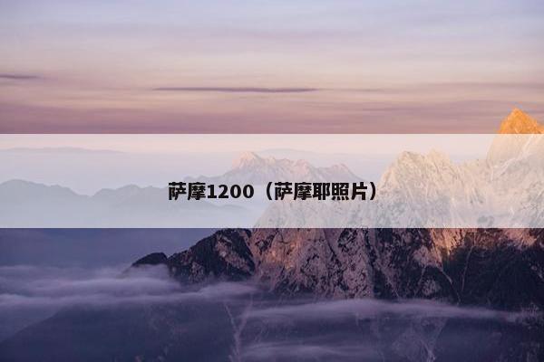 萨摩1200（萨摩耶照片）